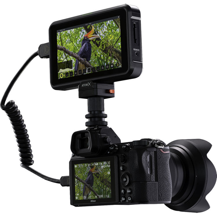 Atomos Shinobi 5.2